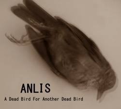 A Dead Bird for Another Dead Bird